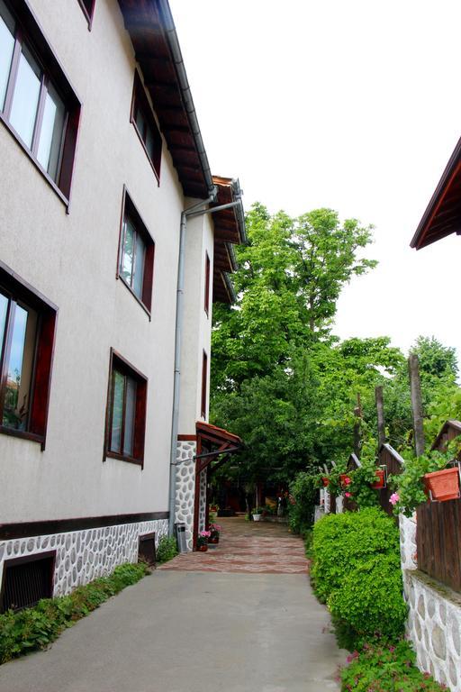 Guest House Sevda بانسكو المظهر الخارجي الصورة
